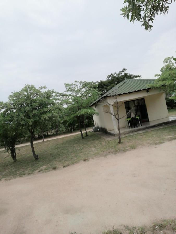 Moholoholo Lodge Acornhoek ภายนอก รูปภาพ