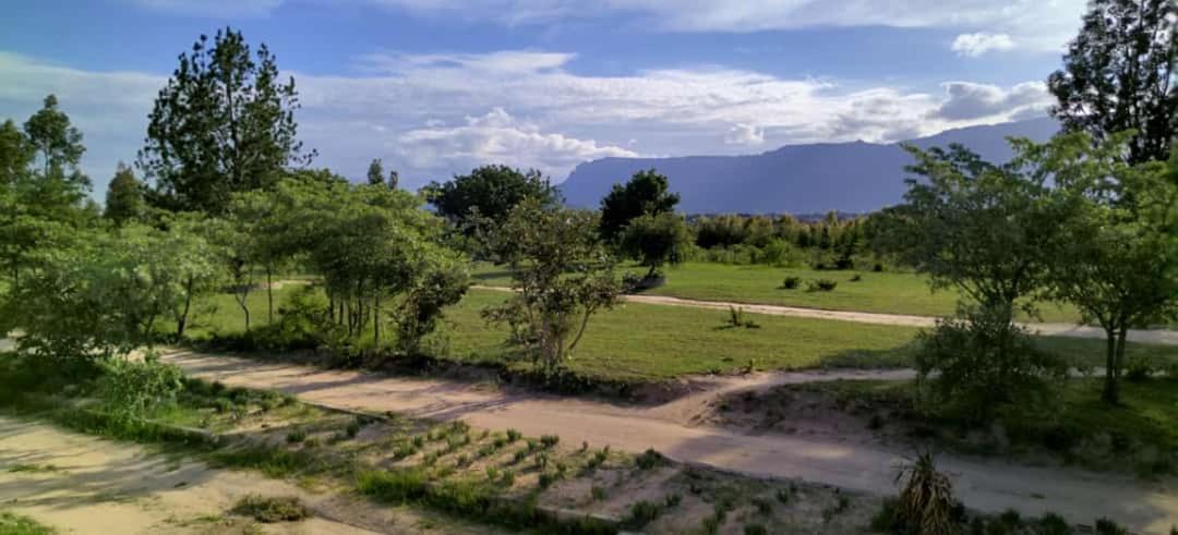 Moholoholo Lodge Acornhoek ภายนอก รูปภาพ